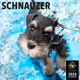 ［公式］PICTWANカレンダー 2026年【L判】シュナウザー【送料無料】かわいい 犬 子犬 いぬ 壁掛け 犬種別 カレンダー SCHNAUZER