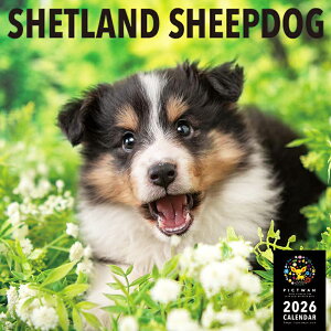 mnPICTWANJ_[ 2026NyLzVFbghEV[vhbOyz킢  q  Ǌ|  J_[ VFeB SHETLAND SHEEPDOG
