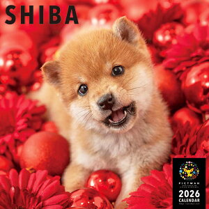 mnPICTWANJ_[ 2026NyLzāyz킢  q  Ǌ|  J_[ ΂ SHIBA