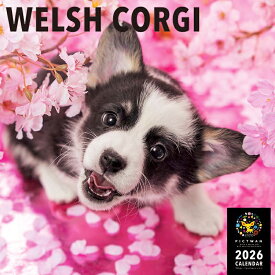 ［公式］PICTWANカレンダー 2026年【L判】ウェルシュ・コーギー【送料無料】かわいい 犬 子犬 いぬ 壁掛け 犬種別 カレンダー WELSH CORGI