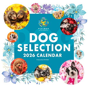 mnPICTWANJ_[ 2026NyLzhbOEZNV^킢  q  Ǌ| lC J_[