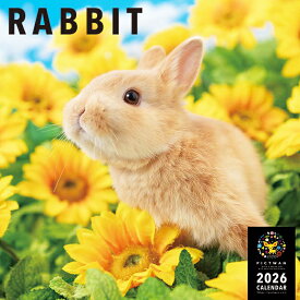 ［公式］PICTWANカレンダー 2026年【L判】ラビット【送料無料】かわいい うさぎ ウサギ 壁掛け カレンダー RABBIT