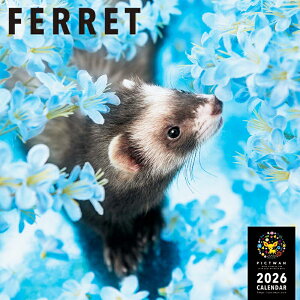 mnPICTWANJ_[ 2026NyLztFbgyz킢  Ǌ| J_[ FERRET