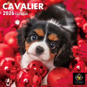 �m�����nPICTWAN�J�����_�[ 2026�N�yS���z�L���o���A�y�䂤�p�P�b�g�z