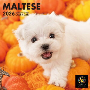 mnPICTWANJ_[ 2026NySz}`[Yy䂤pPbgz