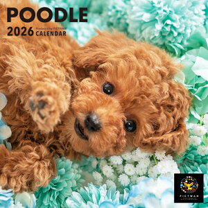 �m�����nPICTWAN�J�����_�[ 2026�N�yS���z�v�[�h���y�䂤�p�P�b�g�z