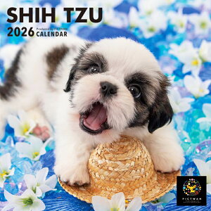 �m�����nPICTWAN�J�����_�[ 2026�N�yS���z�V�[�E�Y�[�y�䂤�p�P�b�g�z