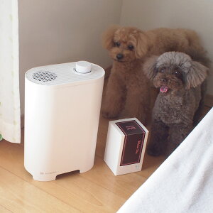 yȂ獁J[gbWtzSearoma V[} A}GAfBt[U[ 蔭@ { TA-S02