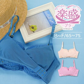 【70％OFF】アンテシュクレ intesucre 楽に盛れる！楽盛ブラ ブラジャー単品 全4色 B-F/65-75 EBT002