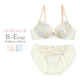 【50％OFF】アンテシュクレ intesucre らくしてキレイ ノンワイヤー ブラセット ナチュラルバストメイク 全3色 B-E/65-75 IBN308