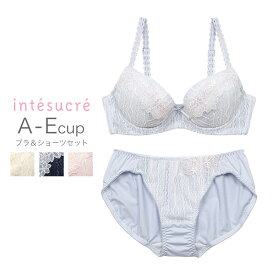 【50％OFF】アンテシュクレ intesucre ブラセット ナチュラルバストメイク 全4色 A-E/65-75 IBT291