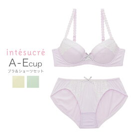 【50％OFF】アンテシュクレ intesucre しっとりもちもち ブラセット ナチュラルバストメイク 全3色 A-E/65-75 IBT299