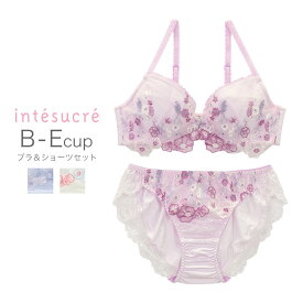 【50％OFF】アンテシュクレ intesucre ふわさら ブラセット 全3色 B-E/65-75 IBT315