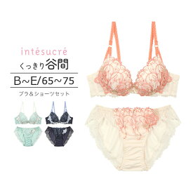 【50％OFF】アンテシュクレ intesucre ブラセット くっきり谷間メイク BCDEカップ アンダー65/70/75 IBT317