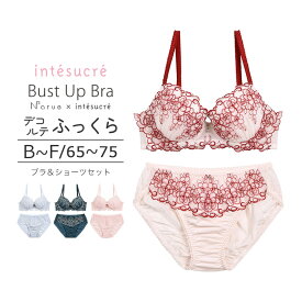 【50％OFF】アンテシュクレ intesucre narue×intesucreコラボ ブラセット ふっくらデコルテメイク 全4色 B-F/65-75 IBT319