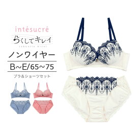 【50％OFF】アンテシュクレ intesucre らくしてキレイ ノンワイヤータイプ ブラセット ナチュラルバストメイク 全3色 B-E/65-75 IBN346