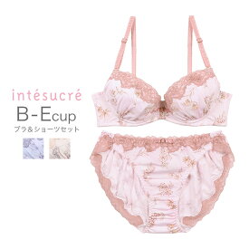 【50％OFF】アンテシュクレ intesucre らくしてキレイ ふわさらtype ブラセット ナチュラルバストメイク 全3色 B-E/65-75 IBT338