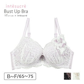 【70％OFF】アンテシュクレ intesucre narue×intesucre バストアップブラ ブラジャー単品 ふっくらデコルテメイク 全3色 B-F/65-75 IBT343