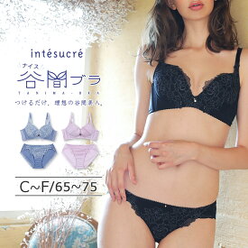 【50％OFF】アンテシュクレ intesucre ナイス谷間ブラ ブラセット 脇高ブラ CDEFカップ アンダー 65/70/75cm IBT344S