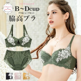 【50％OFF】アンテシュクレ intesucre 脇高ブラ Premium ブラセット 全4色 B-D/65-80 IBT326