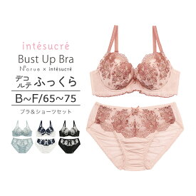 【50％OFF】アンテシュクレ intesucre narue×intesucreコラボ ブラセット バストアップブラ BCDEFカップ アンダー65/70/75 IBT330