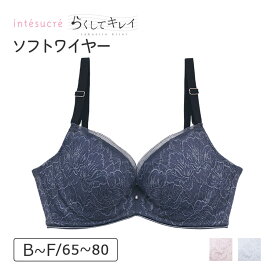 【50％OFF】アンテシュクレ intesucre らくしてキレイ ソフトワイヤータイプ ブラジャー単品 BCDEFカップ アンダー65/70/75/80cm IBT333