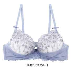 【50％OFF】アンテシュクレ intesucre らくしてキレイ ふわさらtype ブラジャー単品 ナチュラルバストメイク BCDEカップ アンダー 60/65/70/75cm IBT366