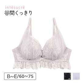 【50％OFF】アンテシュクレ intesucre 毎日フィットブラ Wパッドボリュームタイプ ブラジャー単品 ふっくらデコルテメイク BCDEカップ アンダー 60/65/70/75cm IBT369