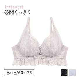 アンテシュクレ intesucre 毎日フィットブラ Wパッドボリュームタイプ ブラジャー単品 ふっくらデコルテメイク BCDEカップ アンダー 60/65/70/75cm IBT369