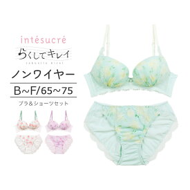 【50％OFF】アンテシュクレ intesucre らくしてキレイ ノンワイヤータイプ ブラセット ナチュラルバストメイク BCDEFカップ アンダー 65/70/75cm IBN358