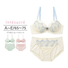 【50％OFF】アンテシュクレ intesucre 毎日フィットブラ 優しくふっくらタイプ ブラセット ナチュラルバストメイク 全3色 A・B・C・D・Eカップ/アンダー65・70・75cm IBT345