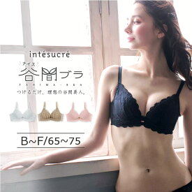 アンテシュクレ intesucre ナイス谷間 ブラジャー単品 脇高ブラ BCDEFカップ アンダー 65/70/75cm IBT362