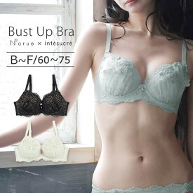 【30％OFF】アンテシュクレ intesucre narue×intesucre バストアップブラ ブラジャー単品 ふっくらデコルテメイク BCDEFカップ アンダー60/65/70/75cm IBT375