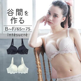 アンテシュクレ intesucre narue×intesucre L wire Bra ブラジャー単品 ふっくらデコルテメイク BCDEFカップ アンダー65/70/75cm IBT372