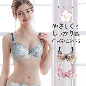 アンテシュクレ intesucre なでしこブラ ブラジャー単品 サイドすっきりメイク CDEFGカップ アンダー65/70/75cm IBT384