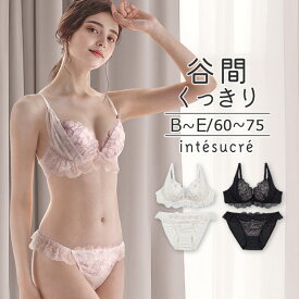 アンテシュクレ intesucre 毎日フィットブラ Wパッドボリュームタイプ ブラセット くっきり谷間メイク BCDEカップ アンダー60/65/70/75cm IBT386S