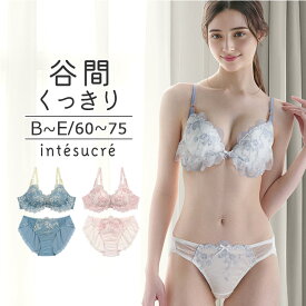アンテシュクレ intesucre 毎日フィットブラ Wパッドボリュームタイプ ブラセット くっきり谷間メイク BCDEカップ アンダー60/65/70/75cm IBT382S