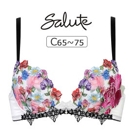 【30％OFF】ワコール サルート 60G ブラジャー単品 フロントエックス Cカップ アンダー65/70/75cm BTJ760