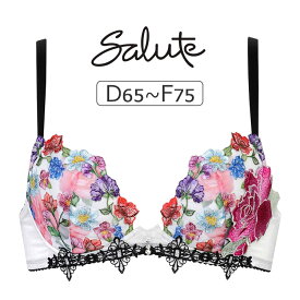 【30％OFF】ワコール サルート 60G ブラジャー単品 フロントエックス DEFカップ アンダー65/70/75cm BTJ760