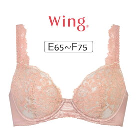 【20％OFF】ワコール ウイング ナチュラルアップブラ KB2062シリーズ ブラジャー単品 EFカップ アンダー65/70/75/80/85cm KB2062