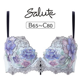 【20％OFF】ワコール サルート 23G ブラジャー単品 P-upタイプ BCカップ アンダー 65/70/75/80cm BTJ423