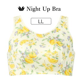【25％OFF】ワコール ナイトアップブラ ノンワイヤーブラ LL BRA164