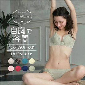 【SALEカラーあり】アンテシュクレ intesucre ナイス谷間ブラ ブラジャー単品 GHIカップ アンダー65/70/75/80cm EBT001