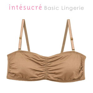 �A���e�V���N�� intesucre �V���v�������W�F���[ �|�@�� �`���[�u�u�� IBB107