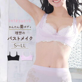 アンテシュクレ intesucre かんたん美ボディ 理想のバストメイク バストリフター S/M/L/LL TGE103