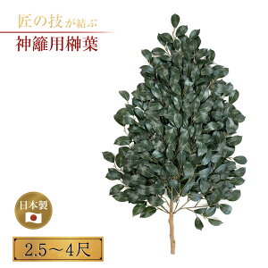 _ߗpt t2.5`4 Ђ났 _ _ _ _O _ n 㓏 vH ՗ Y {