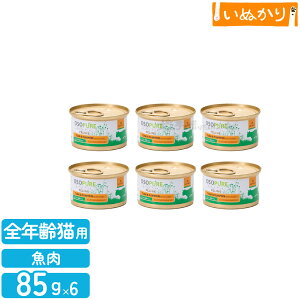 �A�[�e�~�X �I�\�s���A �t�B�[���C�� �c�i���p���v�L���� �L�p 85g×6��