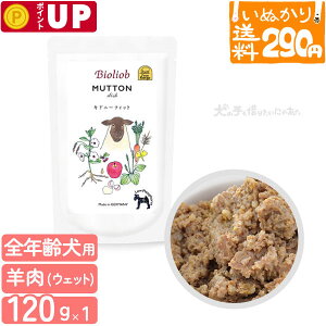 y3_܂ 290~z rII[u }gEfBbV Lhj[EtBbg(t) p 120g EFbgt[h hbOt[h gbsO Y H h{⏕ r pE` yʂ胉Cg