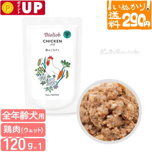 y3_܂ 290~z rII[u `LEfBbV p SNp 120g   EFbgt[h hbOt[h gbsO Y H h{⏕ { pE` yʂ胉Cg