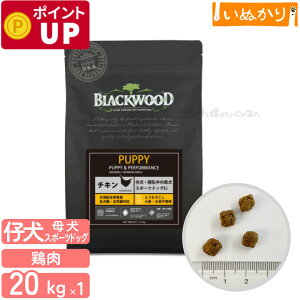 ubNEbh PUPPY p `L  SN 20kg (5kg×4) hCt[h hbOt[h I[Ctt[h HAM[ Ƃ낱EE哤sgp ꌢ 